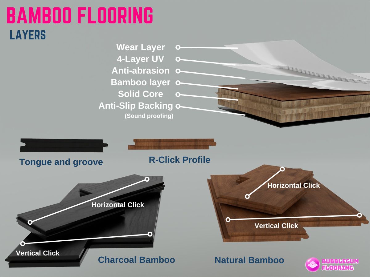 infographic illustration on a labelled cross section on bamboo flooring